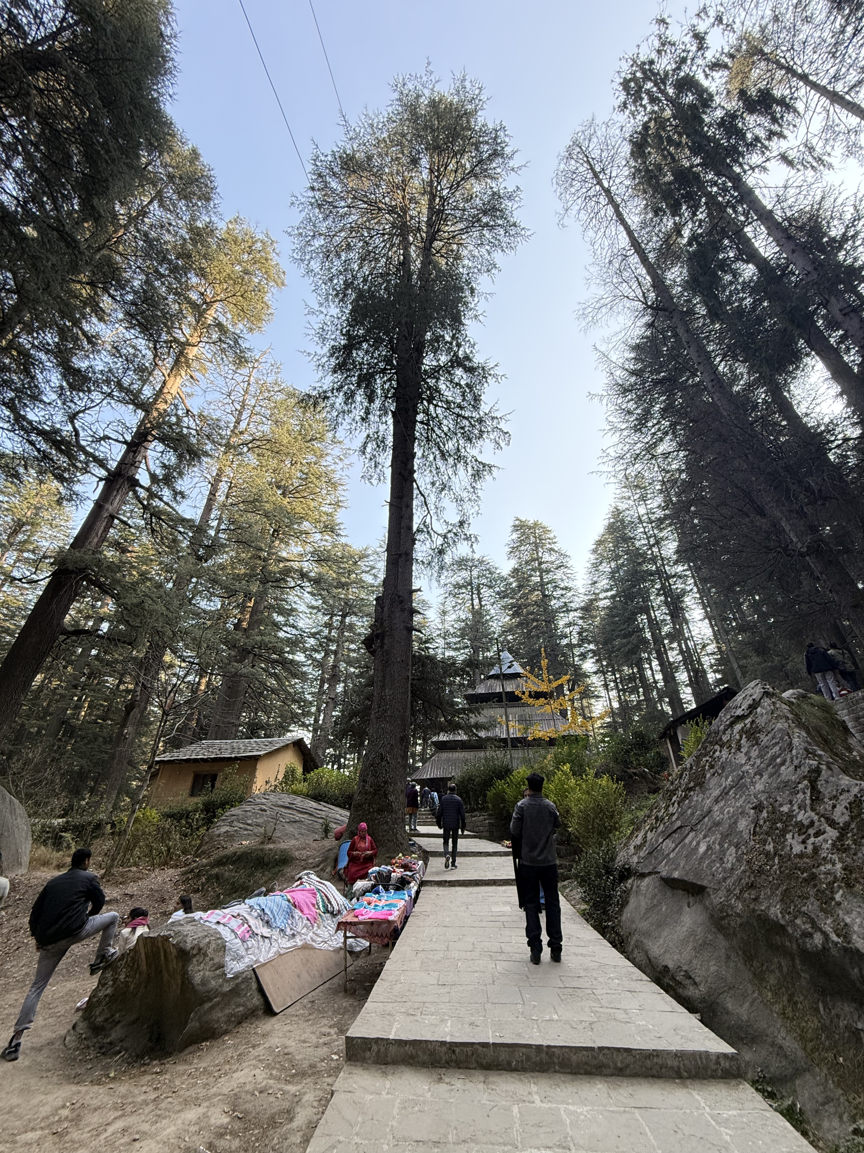 Himalayan vista