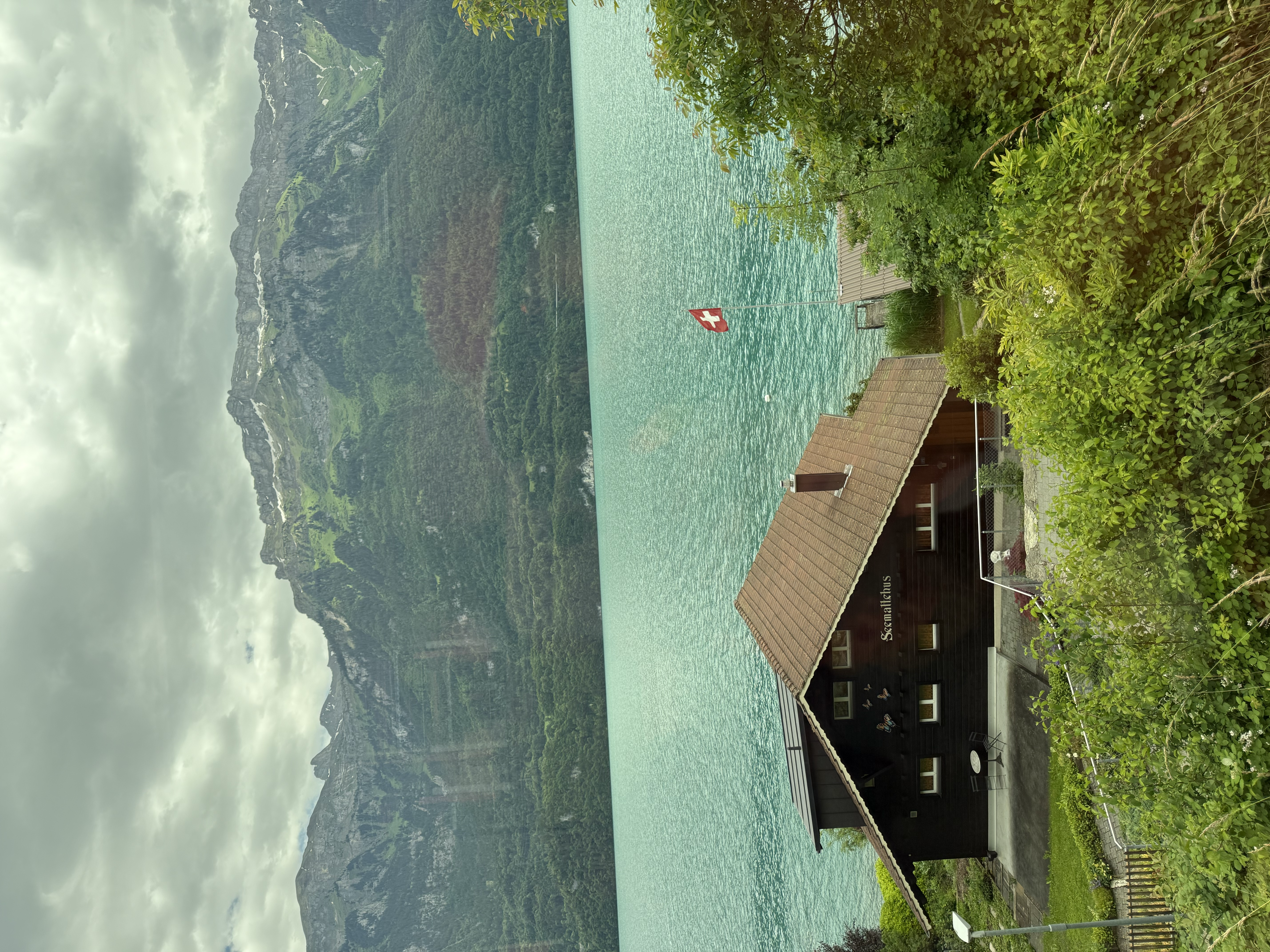Switzerland snowy peak